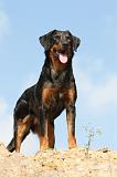 BEAUCERON 513